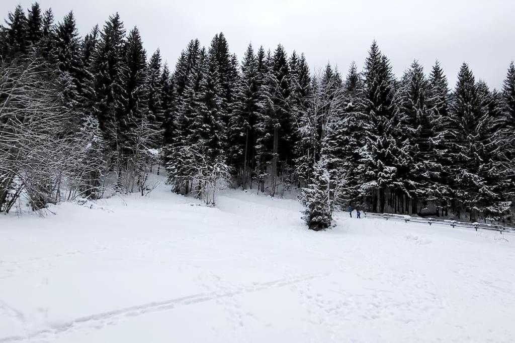 Cocon A Châtel Buitenkant foto